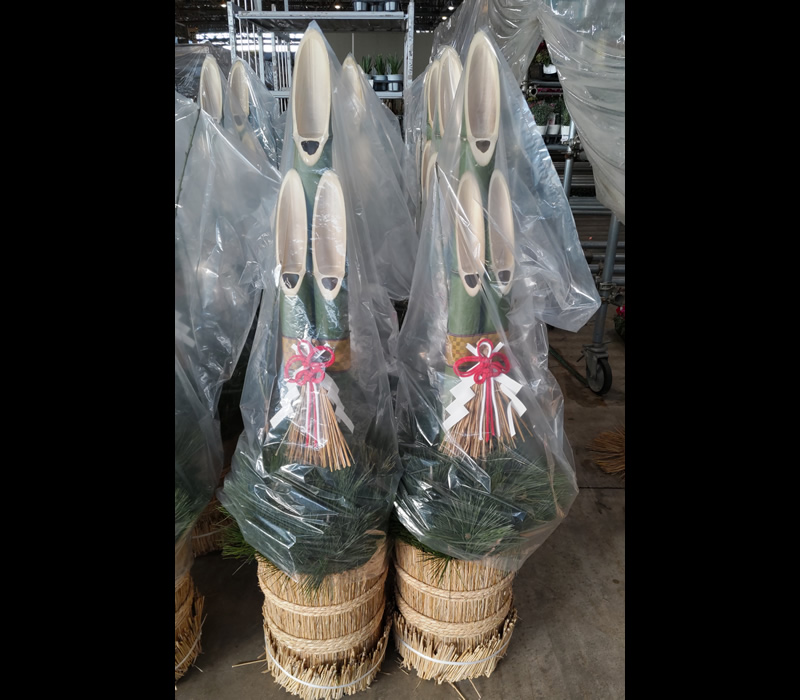 門松 5尺 1対（約150cm）1