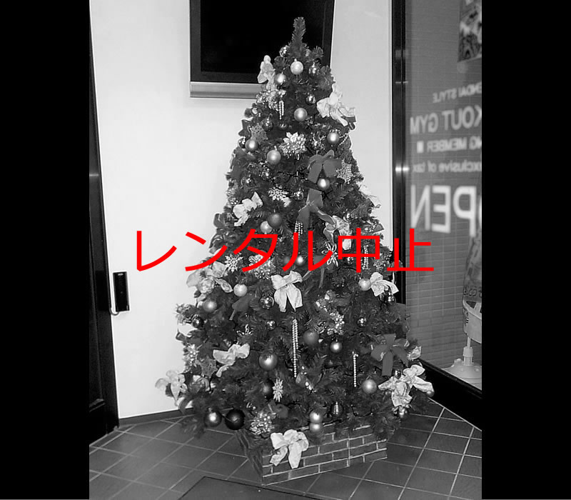 クリスマスツリー2.1m3